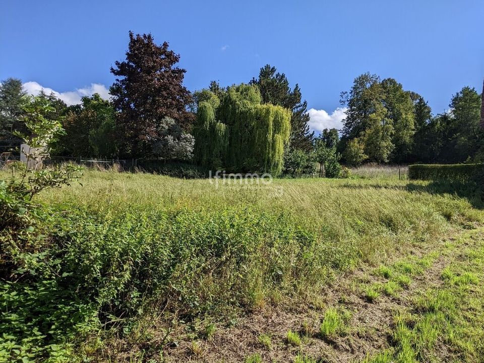 Terra a Soultz-sous-Forêts, Bas-Rhin - foto 2