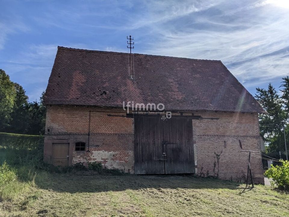Terra a Soultz-sous-Forêts, Bas-Rhin - foto 3