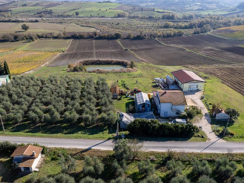 Farm i Manciano, Grosseto - foto 1