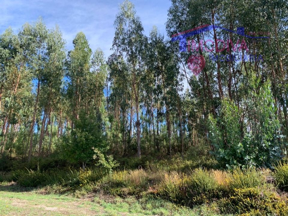 Helårsgrund i Pedrogao Grande, Leiria - foto 3