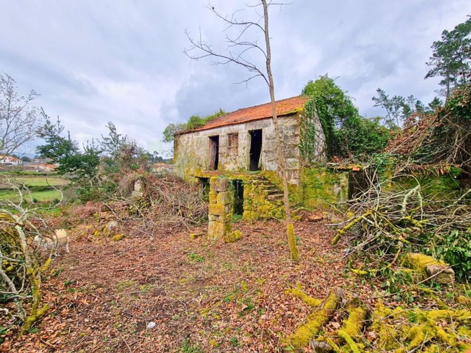 Farm i Segude, Viana do Castelo - foto 1