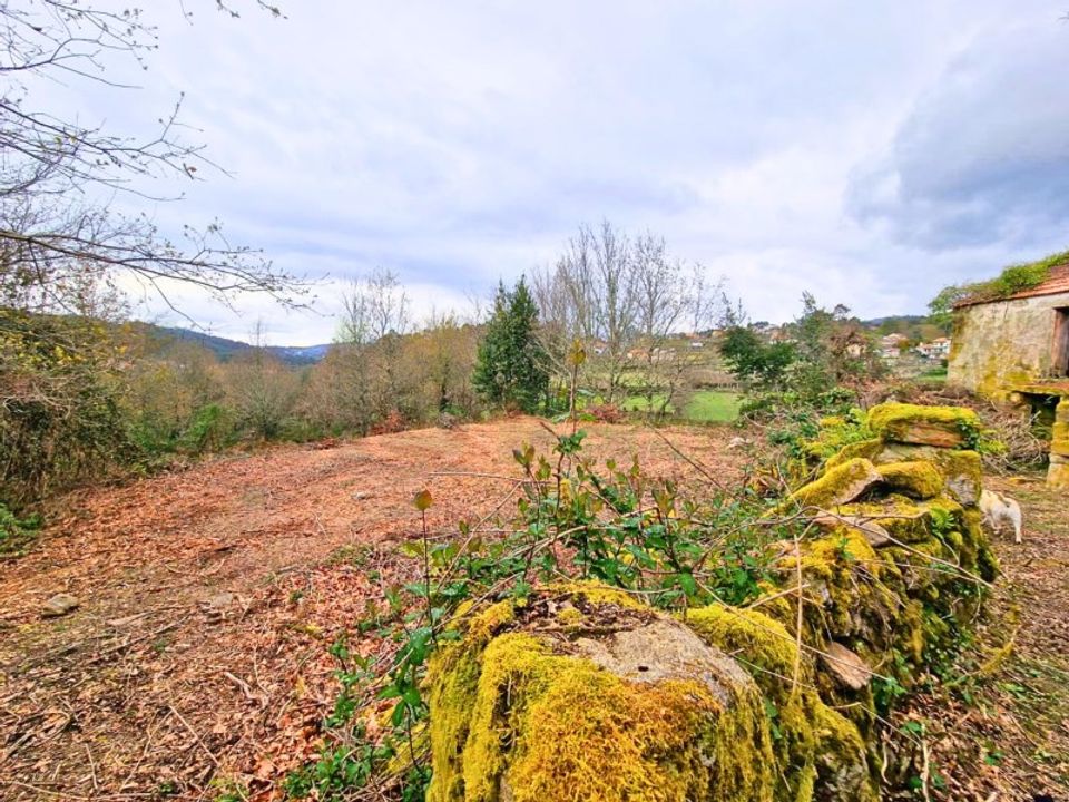 Farm i Segude, Viana do Castelo - foto 4