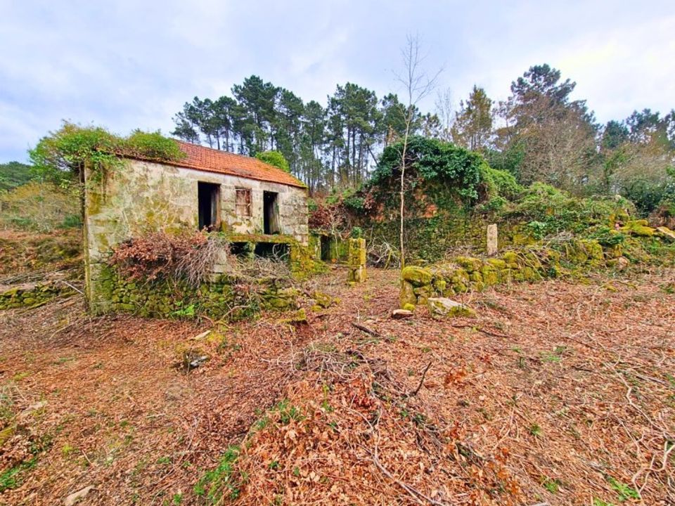 Farm i Segude, Viana do Castelo - foto 5