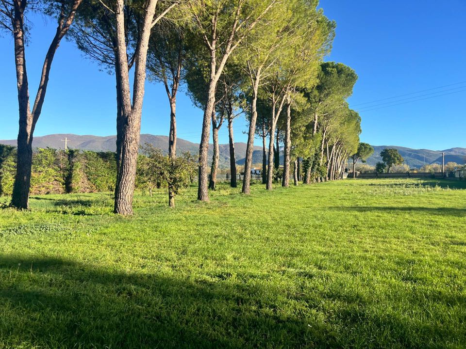 Tomt i Spoleto, Perugia - bilde 1