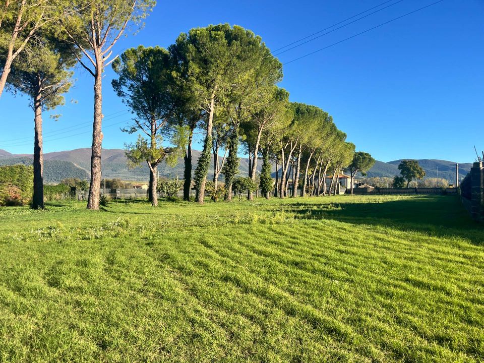 Tomt i Spoleto, Perugia - bilde 3