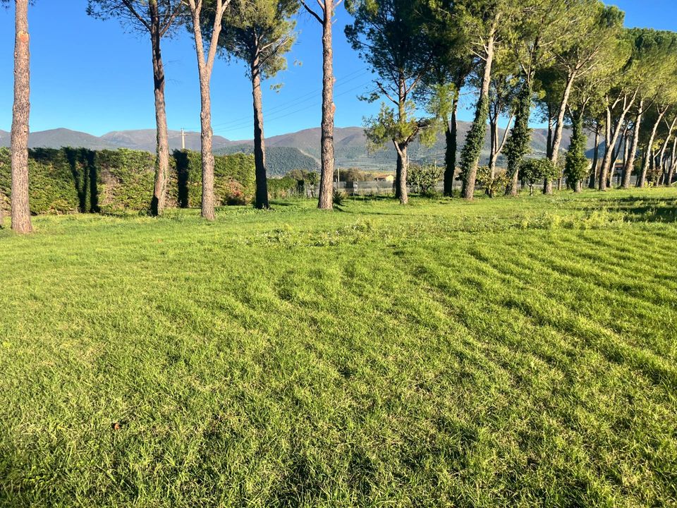 Tomt i Spoleto, Perugia - bilde 4
