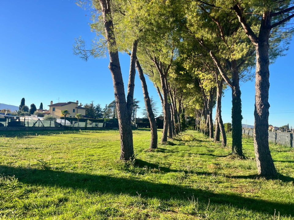 Tomt i Spoleto, Perugia - bilde 5