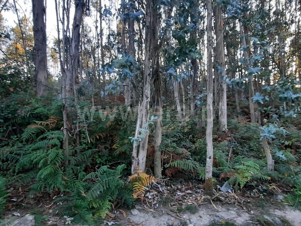 Helårsgrund i Povoa de Lanhoso, Braga - foto 2