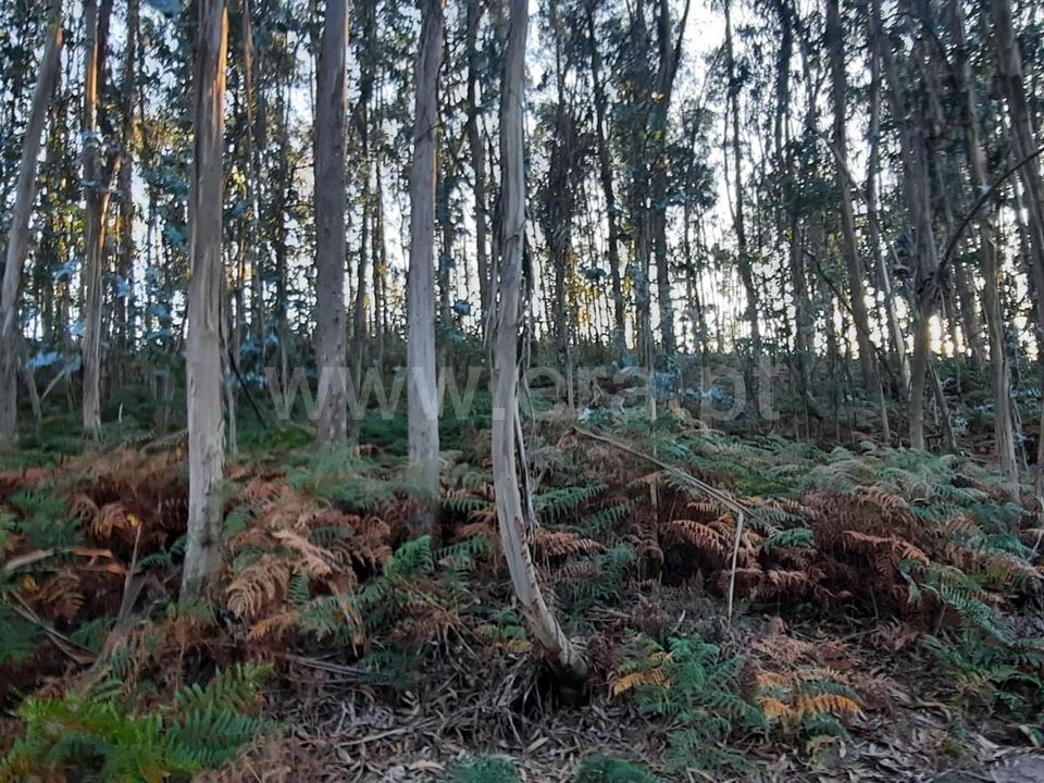 Helårsgrund i Povoa de Lanhoso, Braga - foto 3