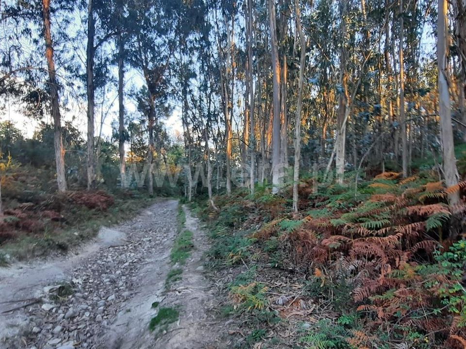 Helårsgrund i Povoa de Lanhoso, Braga - foto 5