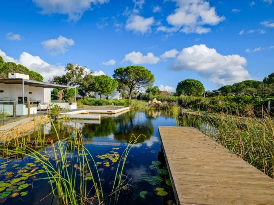 ферма в Grandola, Setubal - фотография 4