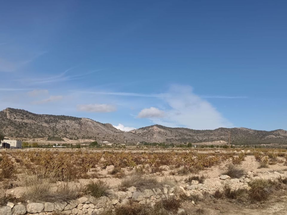Helårsgrund i Salinas, Alicante - foto 1