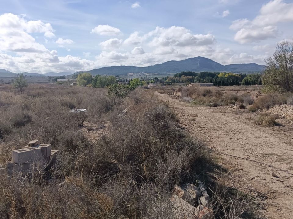 Helårsgrund i Salinas, Alicante - foto 2