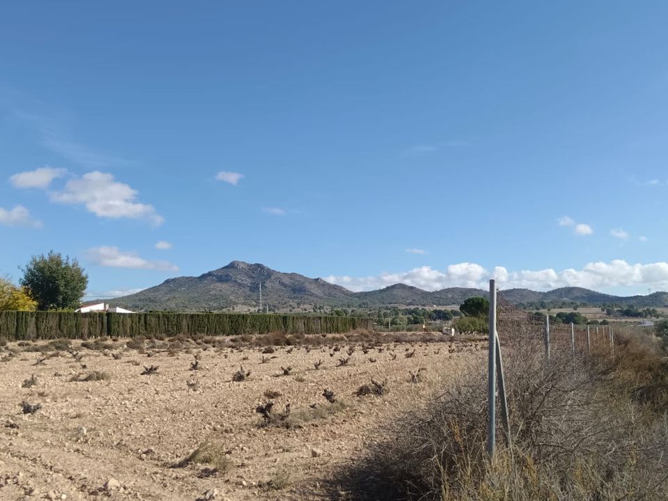 Helårsgrund i Salinas, Alicante - foto 5