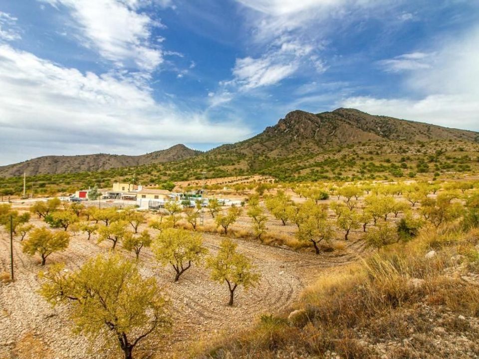 Villa i Jumilla, Murcia - foto 2