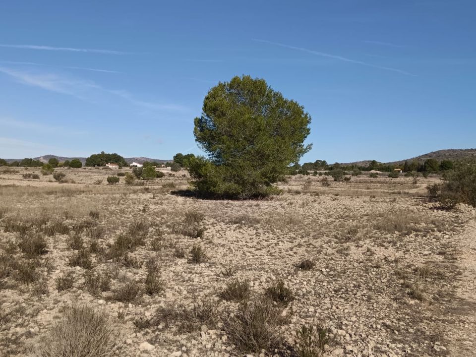 Helårsgrund i Salinas, Alicante - foto 1