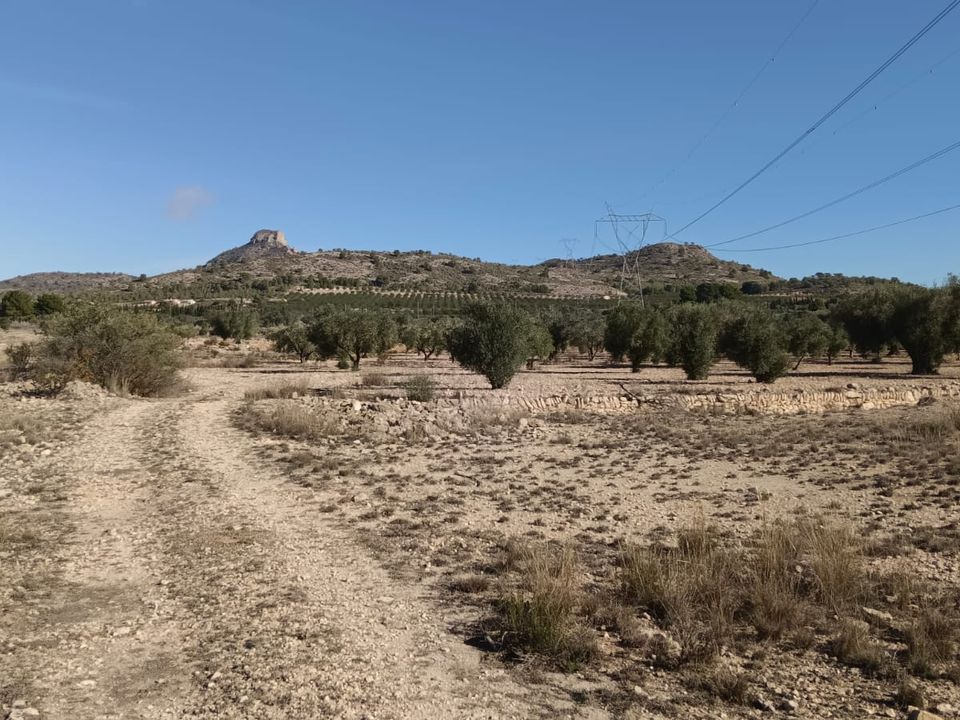 Helårsgrund i Salinas, Alicante - foto 2