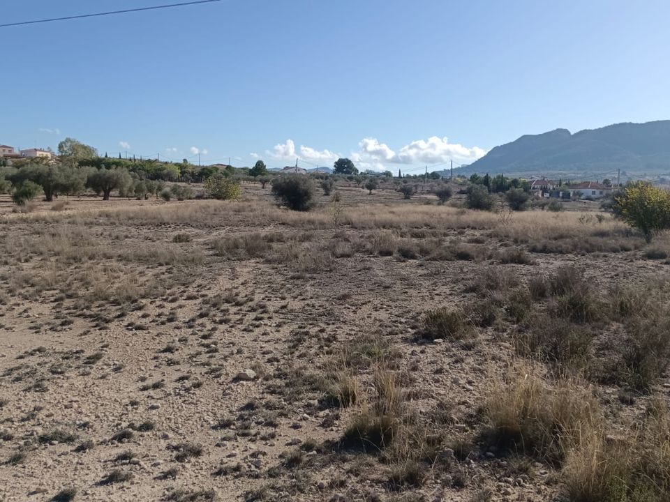 Helårsgrund i Salinas, Alicante - foto 3
