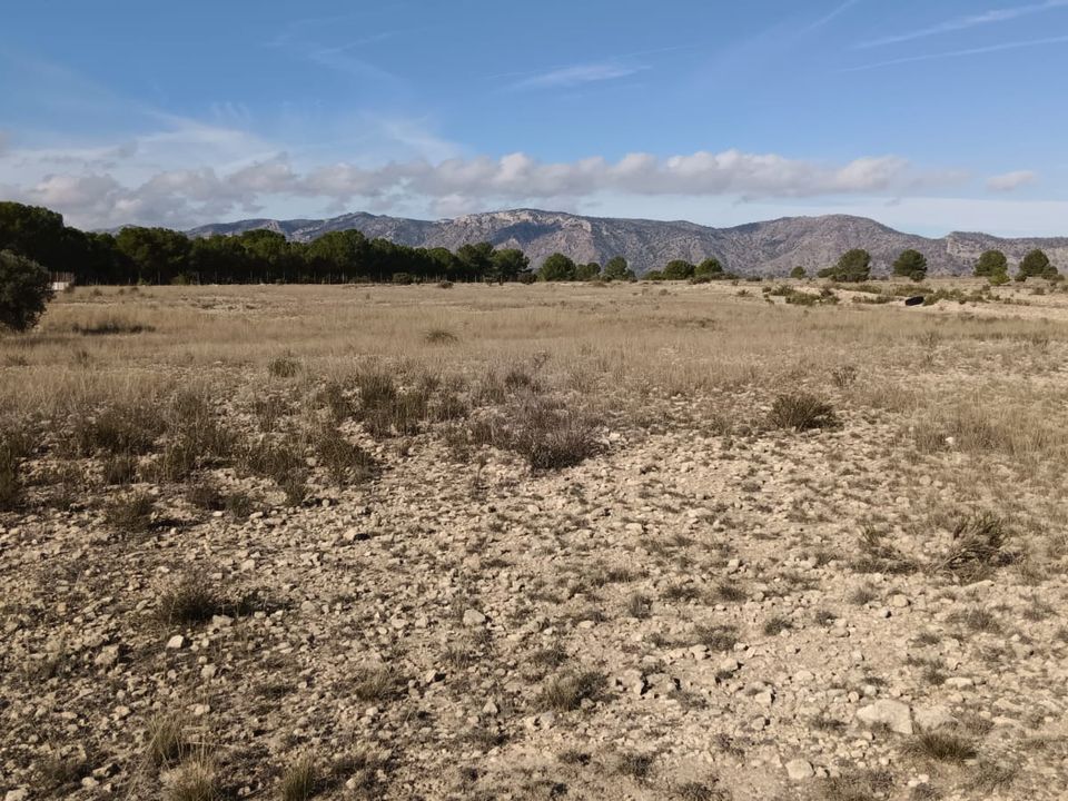 Helårsgrund i Salinas, Alicante - foto 4