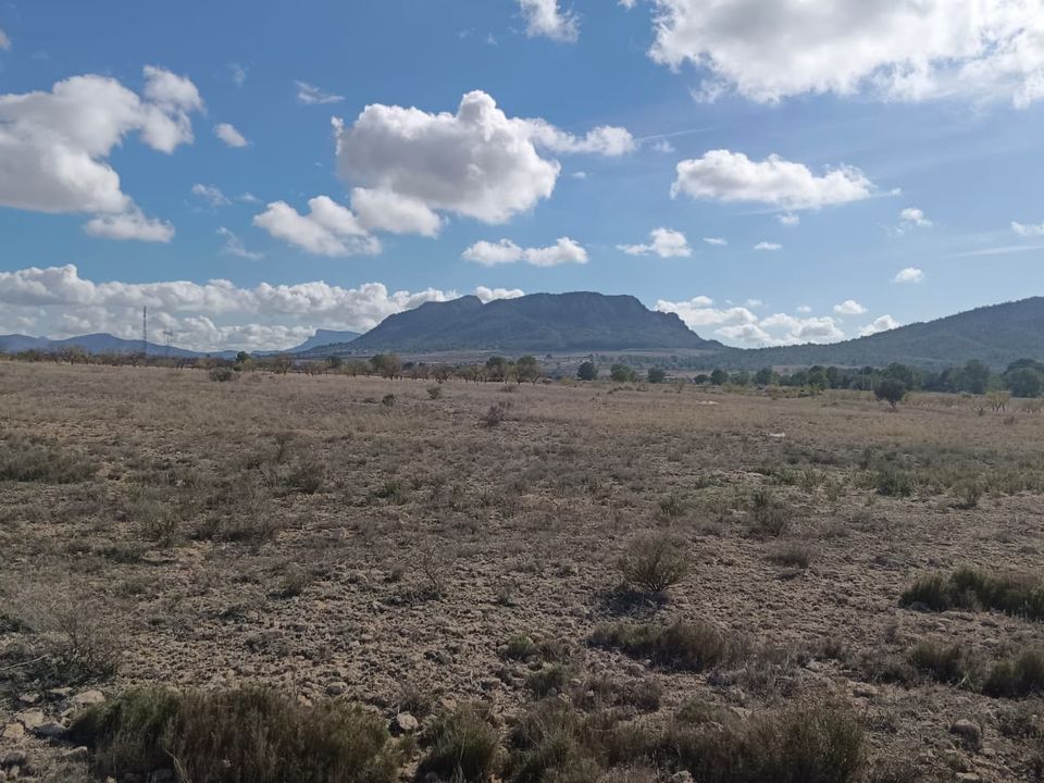 Helårsgrund i Salinas, Alicante - foto 2