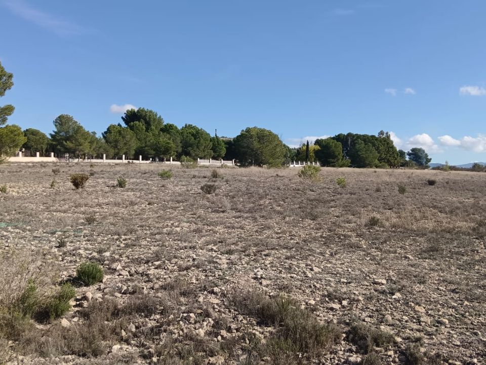 Helårsgrund i Salinas, Alicante - foto 3
