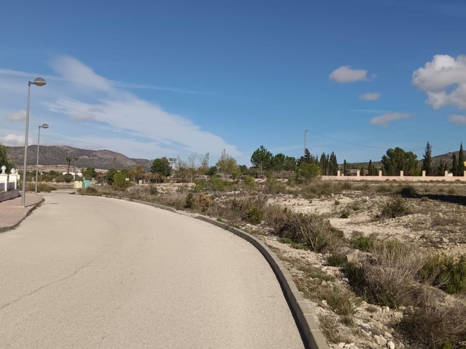 Helårsgrund i Salinas, Alicante - foto 4