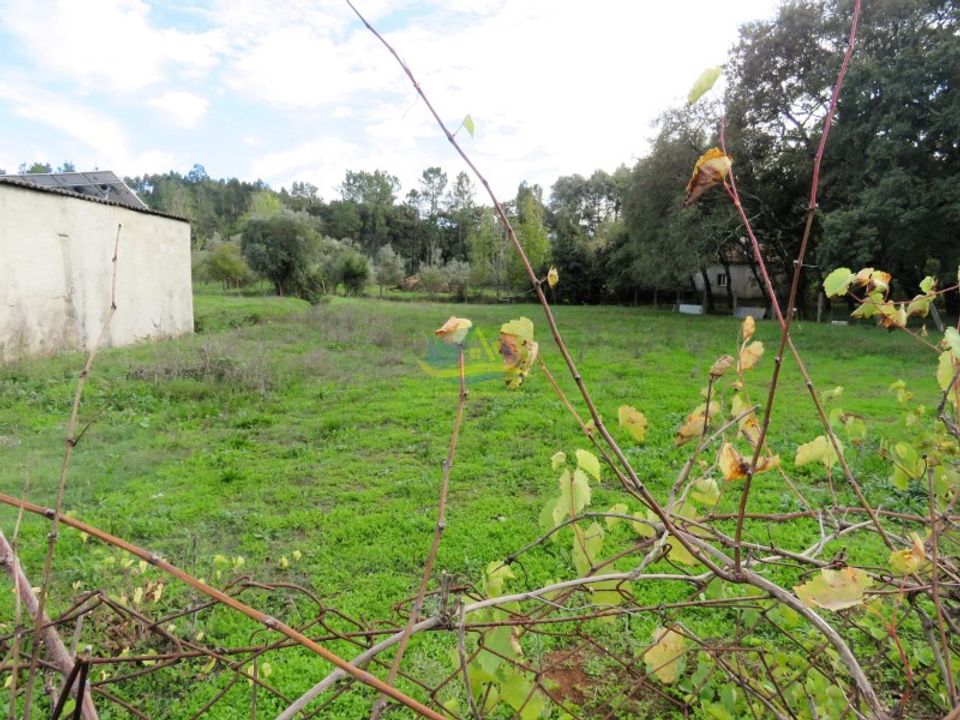 Villa i Alvaiazere, Leiria - foto 5