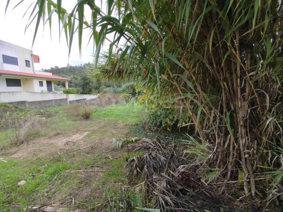 Helårsgrund i Miranda do Corvo, Coimbra - foto 5