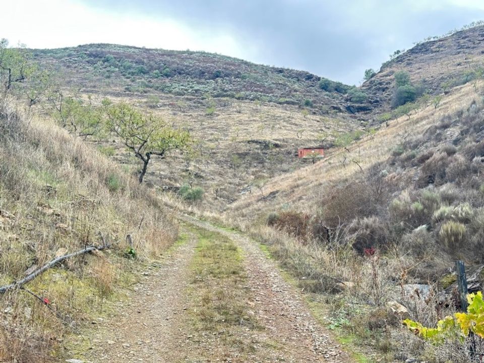Helårsgrund i Freixo de Espada a Cinta, Braganca - foto 2