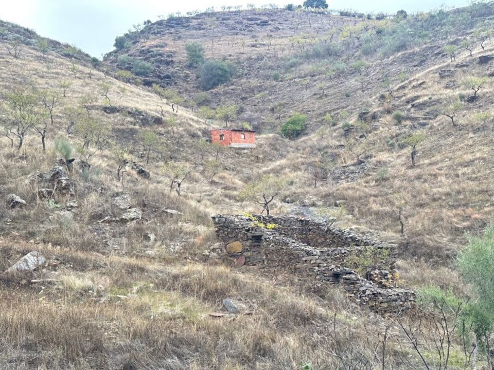 Helårsgrund i Freixo de Espada a Cinta, Braganca - foto 5