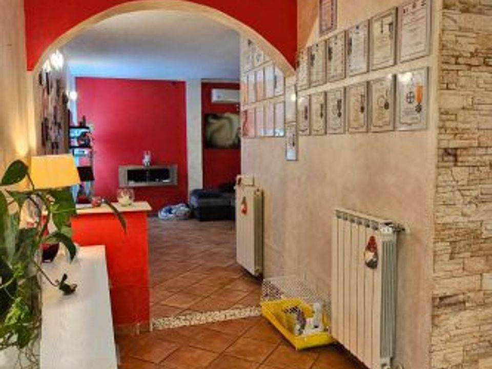Lejlighed i Colle di Val d'Elsa, Siena - foto 3