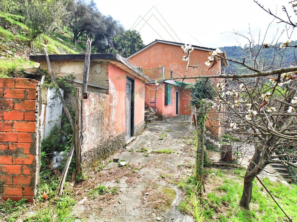 Villa - Rapallo, Genoa - photo 4