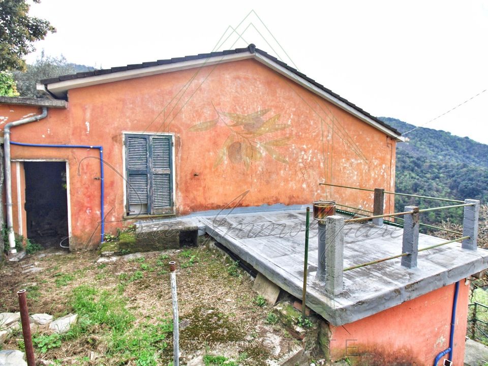 Villa - Rapallo, Genoa - photo 5