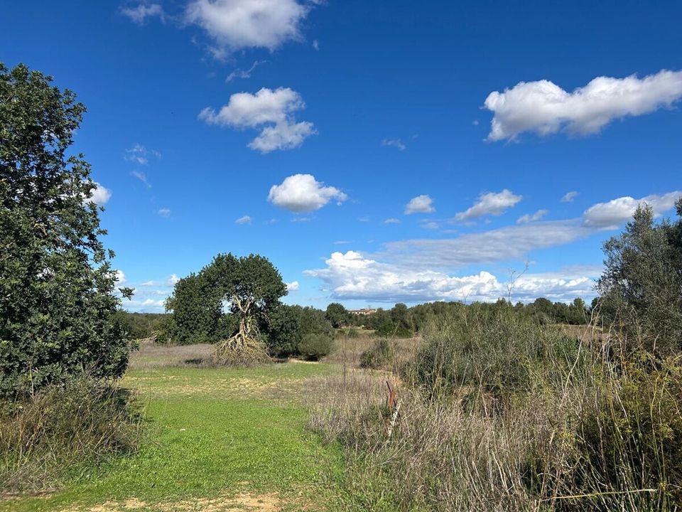 Helårsgrund i Felanitx, Mallorca - foto 1