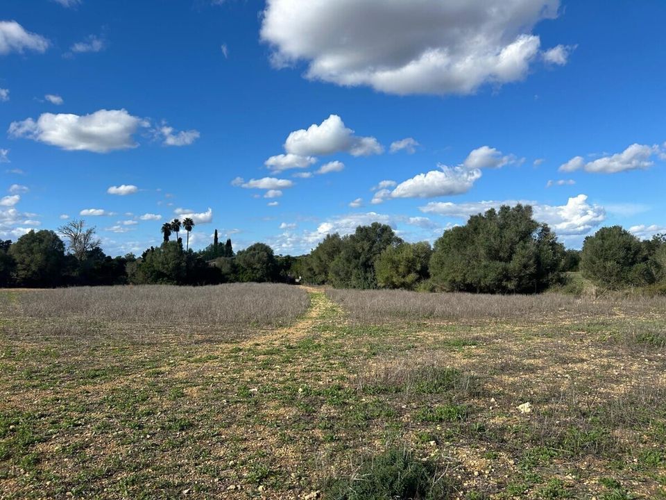 Helårsgrund i Felanitx, Mallorca - foto 4