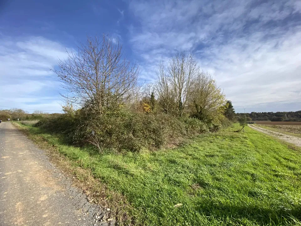 Tomt i Voulême, Vienne - bilde 2