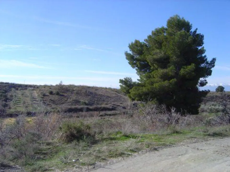 Cave house i Cullar, Granada - bilde 2
