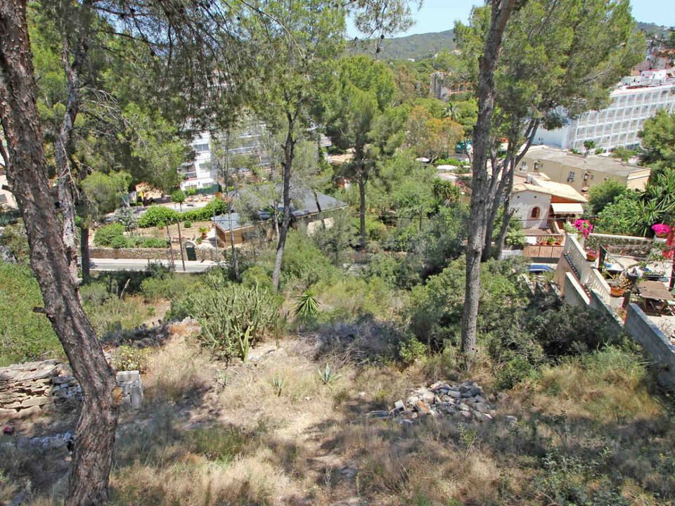 Helårsgrund i Peguera, Mallorca - foto 1