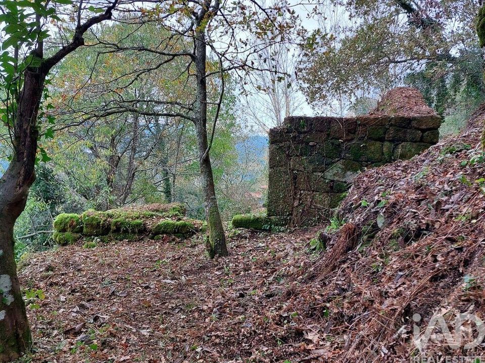 Helårsgrund i Cinfaes, Viseu - foto 2