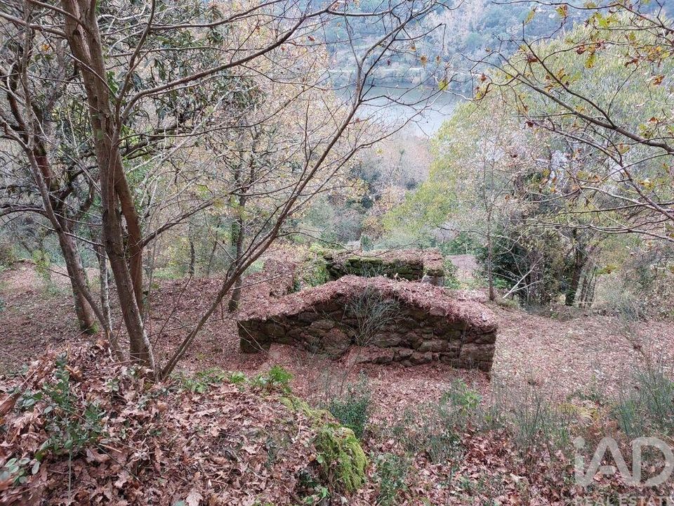 Helårsgrund i Cinfaes, Viseu - foto 3