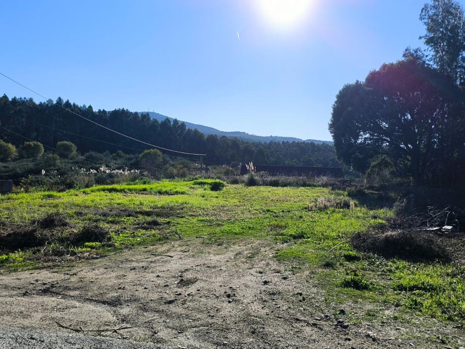 Helårsgrund i Barro (San Breixo), Pontevedra - foto 4