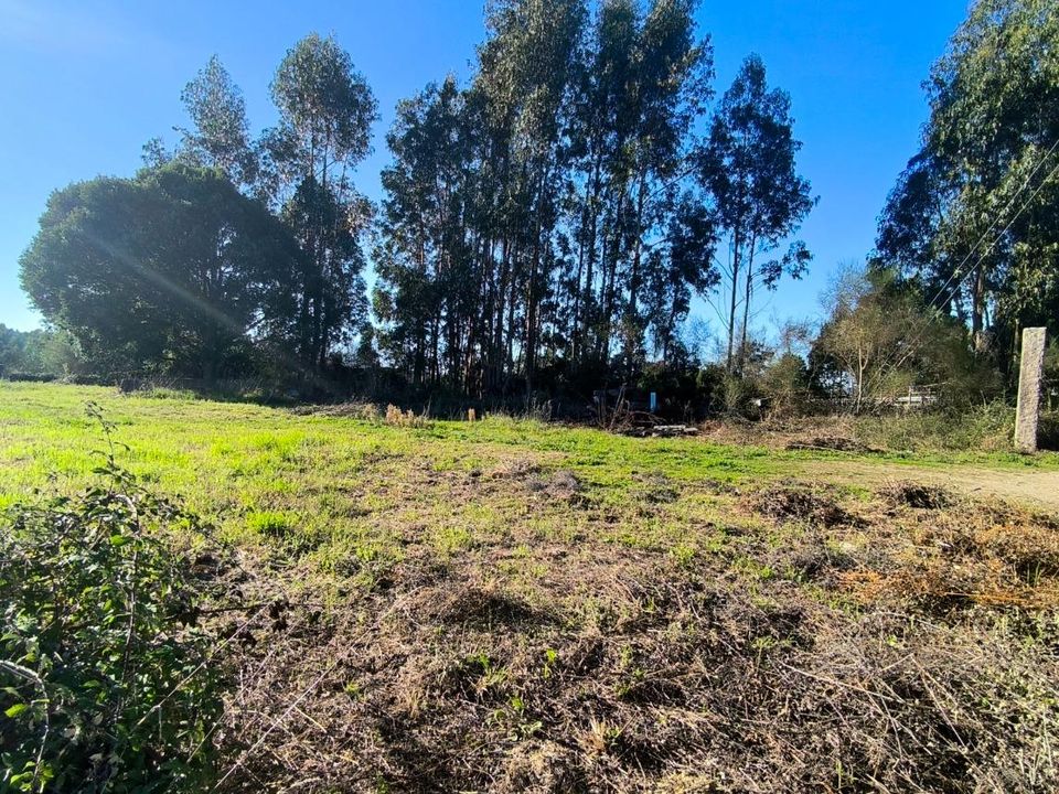 Helårsgrund i Barro (San Breixo), Pontevedra - foto 5