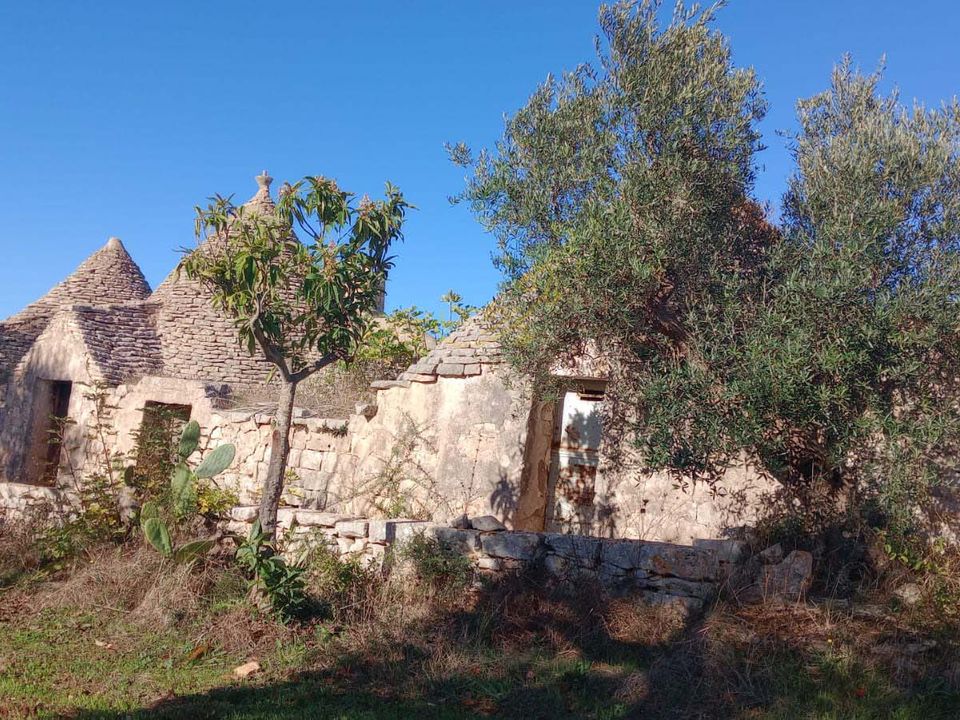 Landejendom i Castellana Grotte, Bari - foto 5