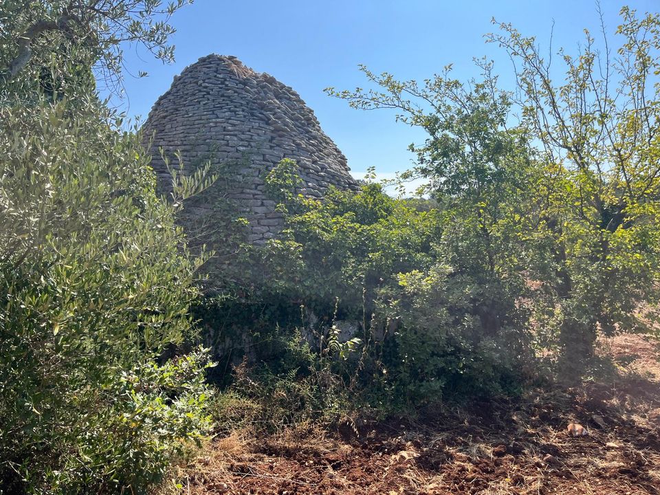 Masia a Castellana Grotte, Bari - foto 3