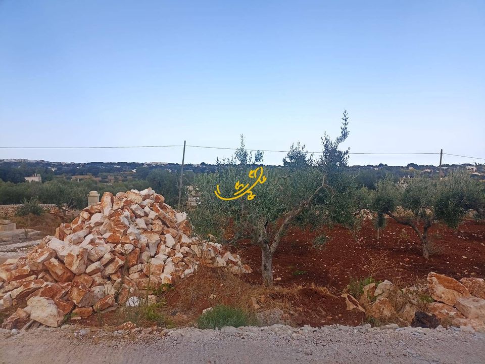 Landejendom i Ostuni, Brindisi - foto 4