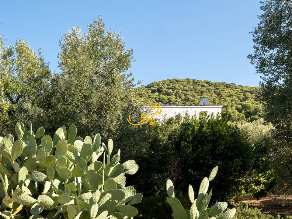 Landejendom i Fasano, Brindisi - foto 5