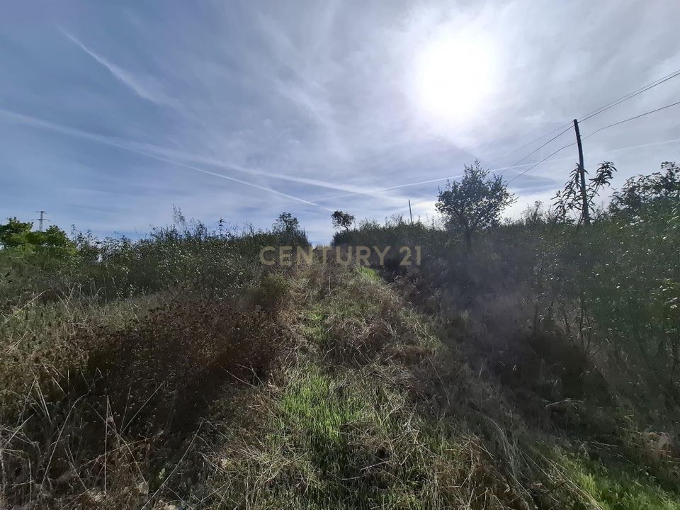 Helårsgrund i Almodovar, Beja - foto 1