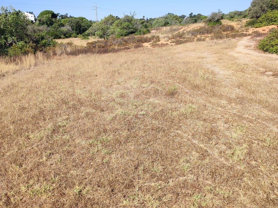 Helårsgrund i Armacao de Pera, Faro - foto 3