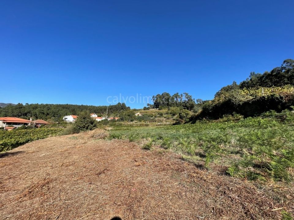 Helårsgrund i Moncao, Viana do Castelo - foto 5