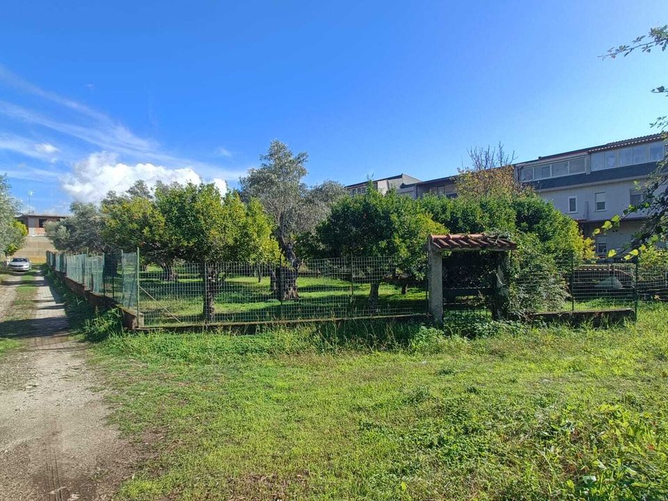 Helårsgrund i Lamezia Terme, Catanzaro - foto 1